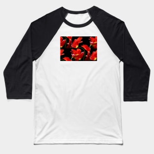 Tulips in the Wind / Swiss Artwork Photography Baseball T-Shirt